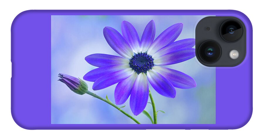 Senetti iPhone 14 Case featuring the photograph Classic Senetti by Terence Davis