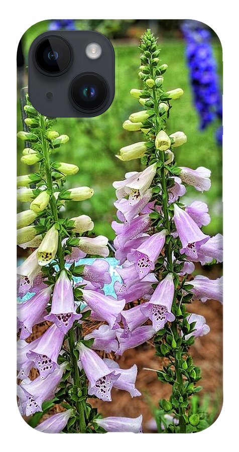 Flowers iPhone 14 Case featuring the photograph Cocklebells by Portia Olaughlin