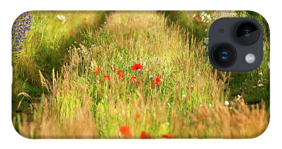 Converging iPhone Case featuring the photograph Converging tracks in a flower meadow by Simon Bratt