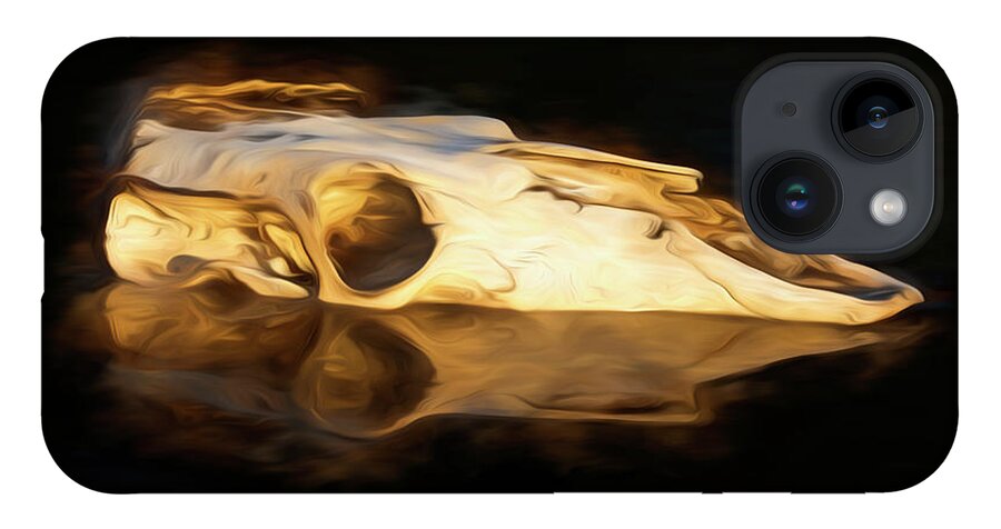Kansas iPhone 14 Case featuring the photograph Cow Skull 003 by Rob Graham