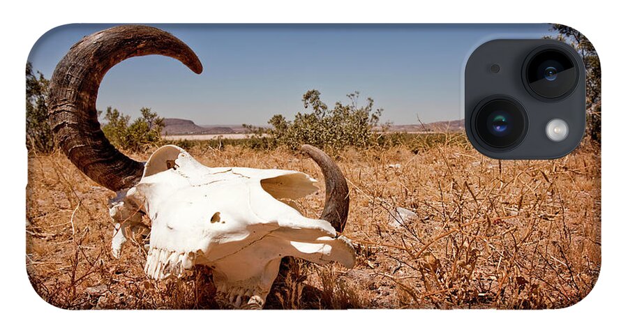 Horned iPhone 14 Case featuring the photograph Cow Skull In The Nevada Desert by Lee Pettet