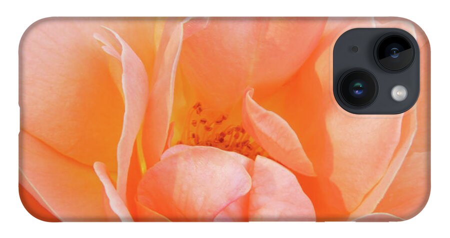 Flowers iPhone 14 Case featuring the photograph Dad's Rose by Minnie Gallman