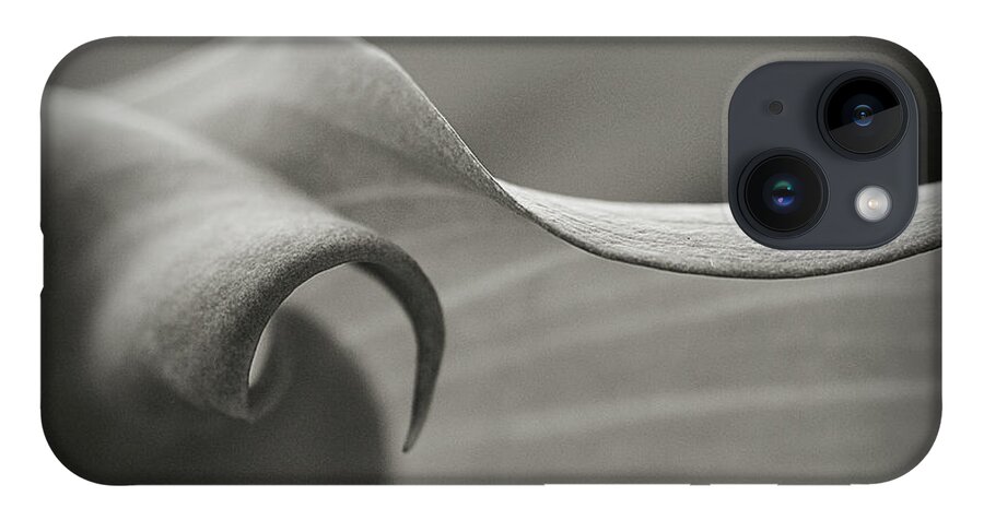 Calla Lily iPhone 14 Case featuring the photograph Delve Deeper by Michelle Wermuth