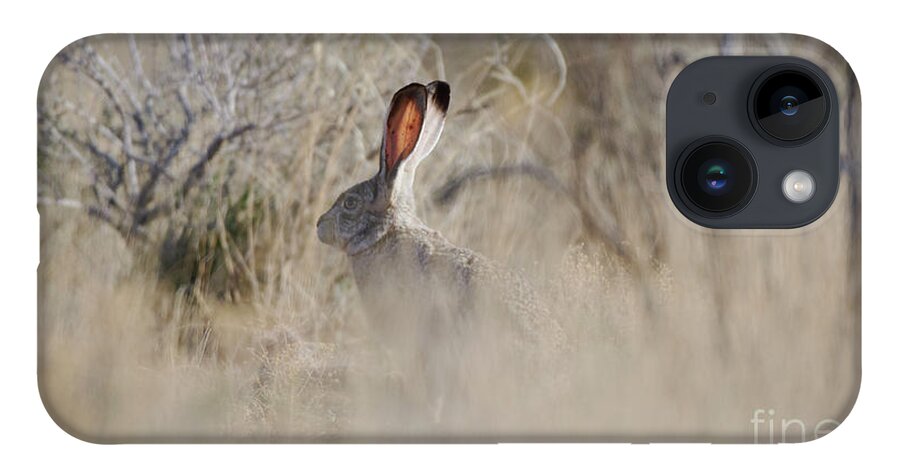 Desert Rabbit iPhone 14 Case featuring the photograph Desert Bunny by Robert WK Clark