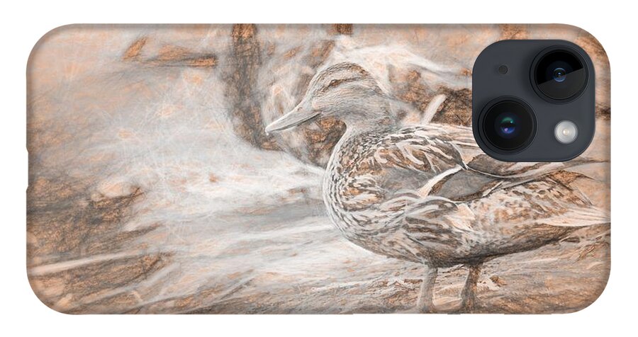 Duck iPhone 14 Case featuring the photograph Ducks on Shore da Vinci by Don Northup