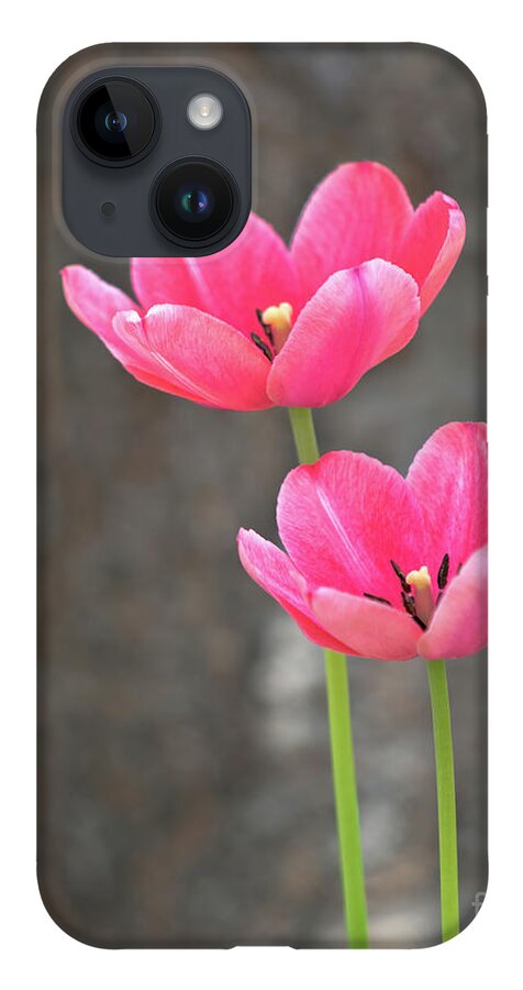 Pink iPhone 14 Case featuring the photograph Duet by Phil Spitze