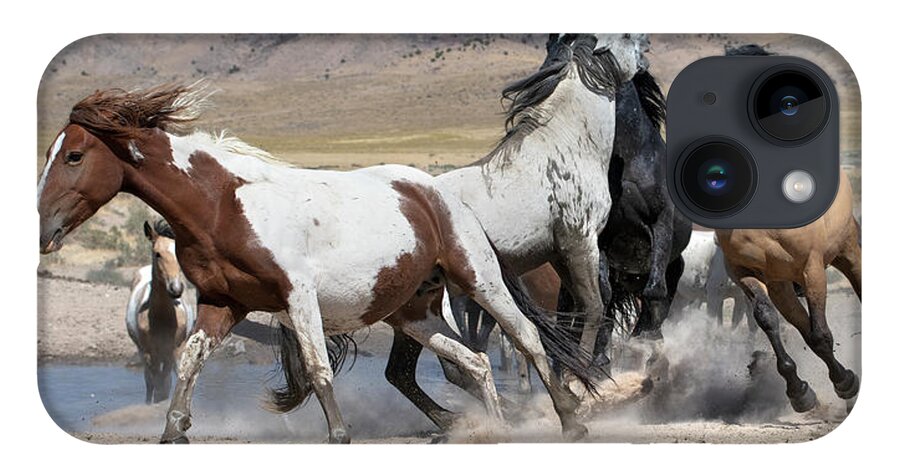 Stallion iPhone 14 Case featuring the photograph Dust-up. by Paul Martin