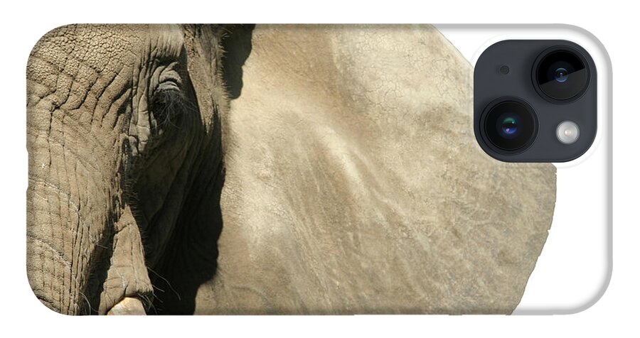 Animal Nose iPhone 14 Case featuring the photograph Elephant Face by Jenjen42