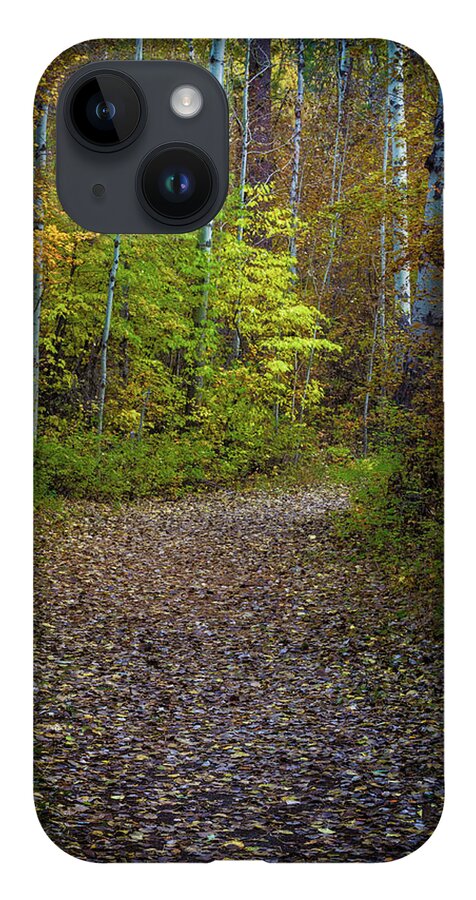 Best Of The Northwest iPhone 14 Case featuring the photograph Enchanted Path by Greg Waddell