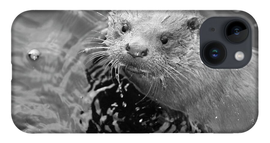Ambleside iPhone 14 Case featuring the photograph European Otter by Science Photo Library