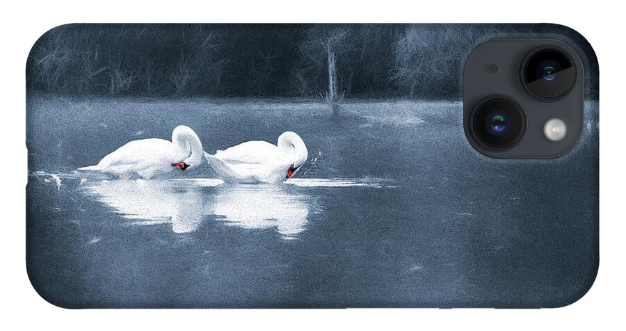 Swans iPhone Case featuring the photograph Evening Bath by Jaroslav Buna