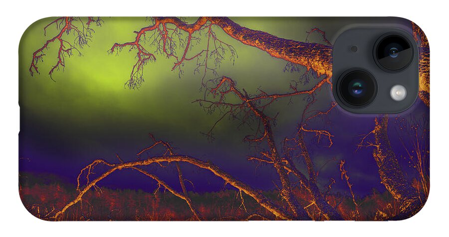 Tree iPhone 14 Case featuring the photograph Fallen Tree by Mike Eingle