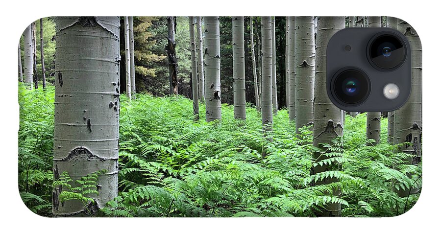 Arizona iPhone 14 Case featuring the photograph Ferns in an Aspen Grove by Jeff Goulden