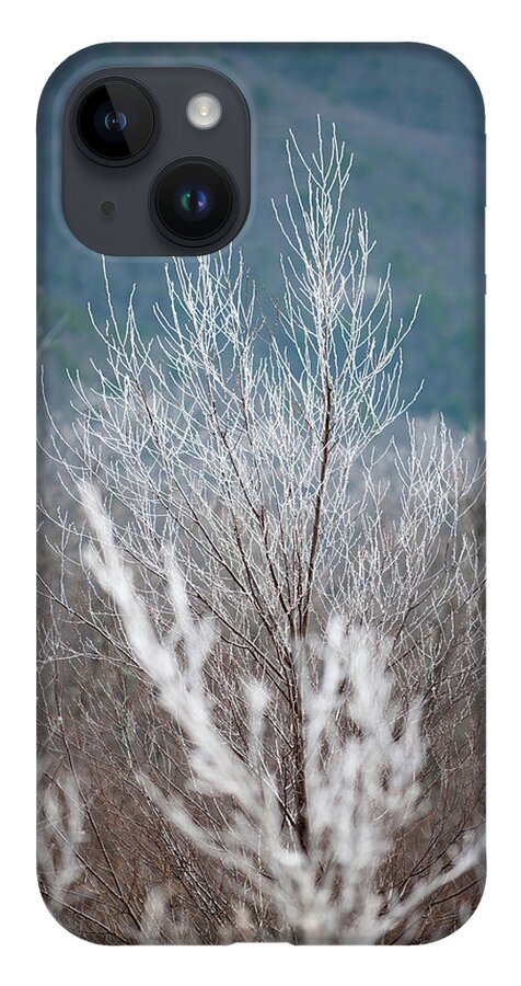 Blue Ridge iPhone 14 Case featuring the photograph Fingers of Hoarfrost by Mark Duehmig