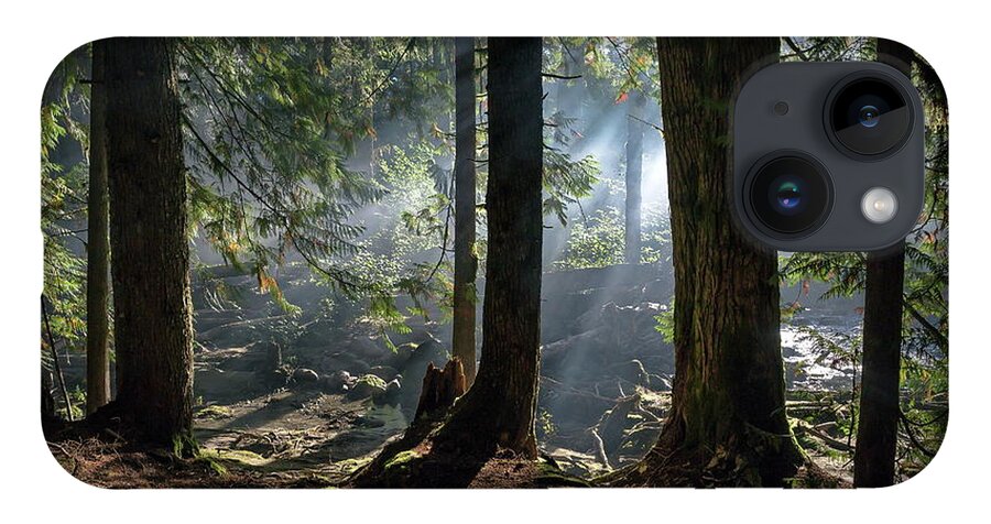 Alex Lyubar iPhone Case featuring the photograph Foggy morning in the forest by Alex Lyubar
