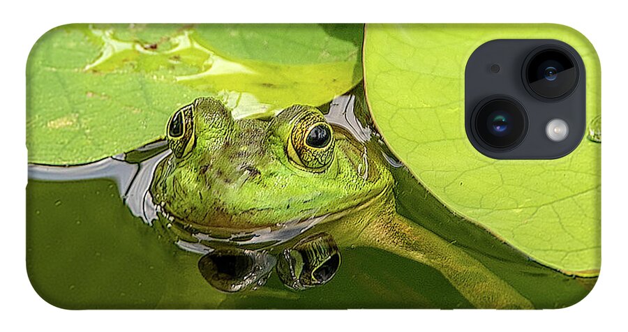 Frog iPhone 14 Case featuring the photograph Frog by Minnie Gallman
