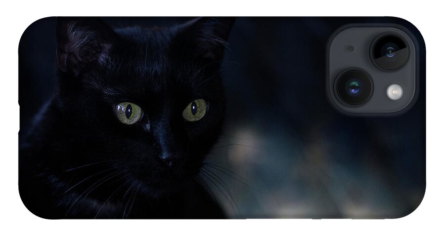 Black Cat Photograph iPhone Case featuring the photograph Gabriel by Irina ArchAngelSkaya