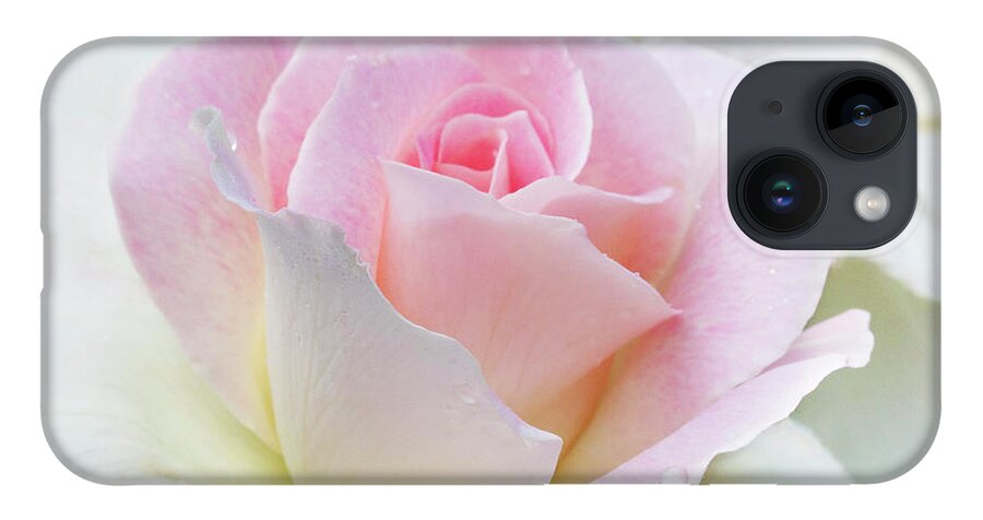 Gentle Beauty iPhone 14 Case featuring the photograph Gentle Beauty by Patty Colabuono