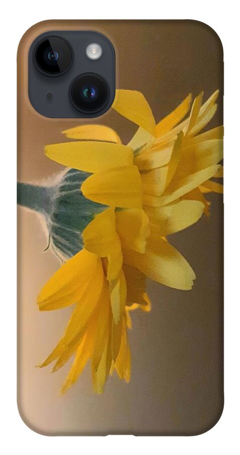Flower iPhone Case featuring the photograph Gerbera Daisy 2 by Harvest Moon Photography By Cheryl Ellis