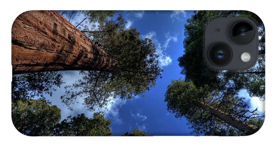 Sequoia Tree iPhone 14 Case featuring the photograph Giant Sequoias - 2 by Rhyman007