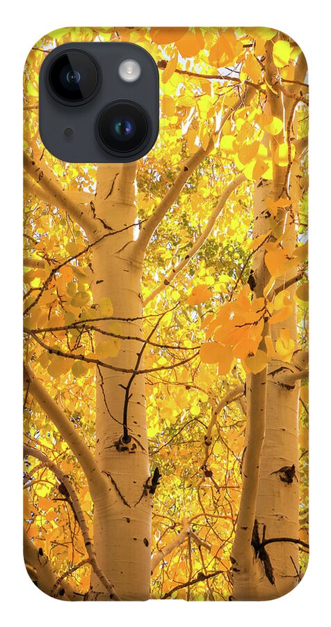 Arizona iPhone 14 Case featuring the photograph Golden Aspens in Grand Canyon, Vertical by Dawn Richards