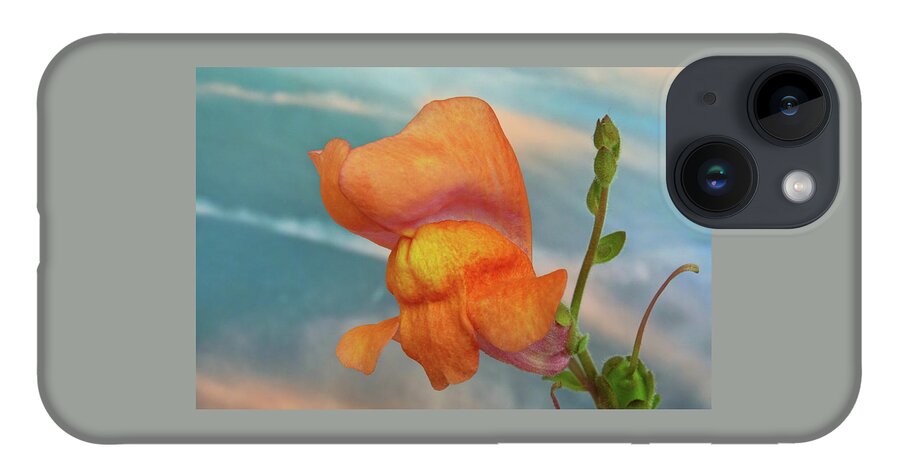 Snapdragon iPhone Case featuring the photograph Golden Snapdragon by Terence Davis