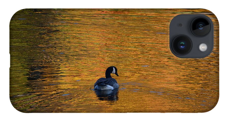 Geese iPhone Case featuring the photograph Goose Swimming In Autumn Colors by Dani McEvoy