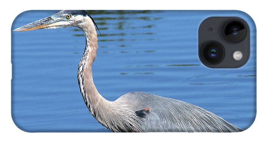 Nature iPhone 14 Case featuring the photograph Great Blue Heron DMSB0167 by Gerry Gantt