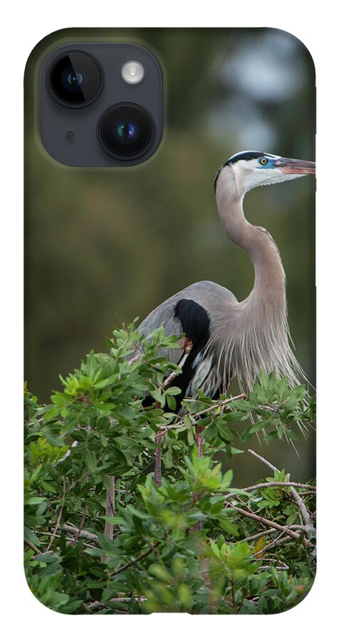 Birds iPhone 14 Case featuring the photograph Great Blue Heron Portrait by Donald Brown