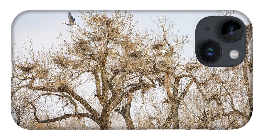 Great Blue Heron iPhone 14 Case featuring the photograph Great Blue Heron Rookery by James BO Insogna