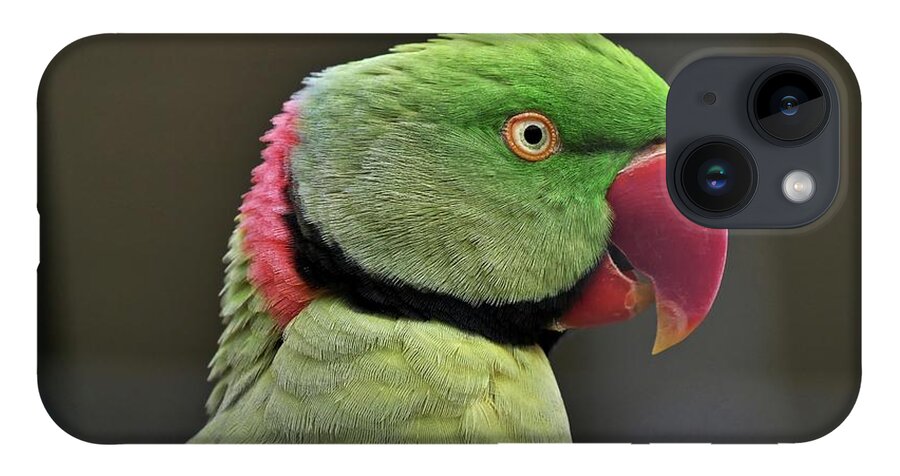 Bird iPhone 14 Case featuring the photograph Green parrot by Martin Smith