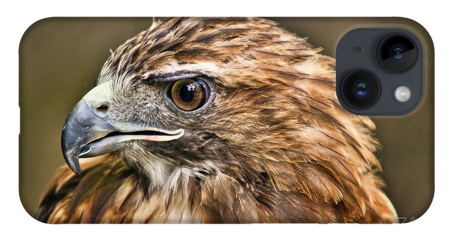 Hawk iPhone 14 Case featuring the photograph Red-Tailed Hawk by Meta Gatschenberger