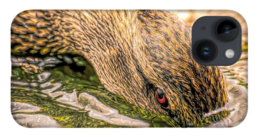 Duck iPhone 14 Case featuring the photograph Head Dunking Duck Toned by Don Northup
