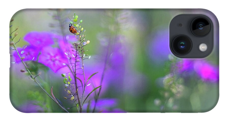 Purple And Lavender Phlox iPhone 14 Case featuring the photograph Heartsong In The Meadow by Mary Lou Chmura