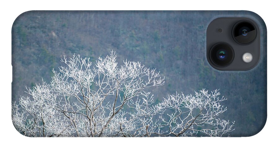 Blue Ridge iPhone 14 Case featuring the photograph Hoarfrost Collects on Branches by Mark Duehmig