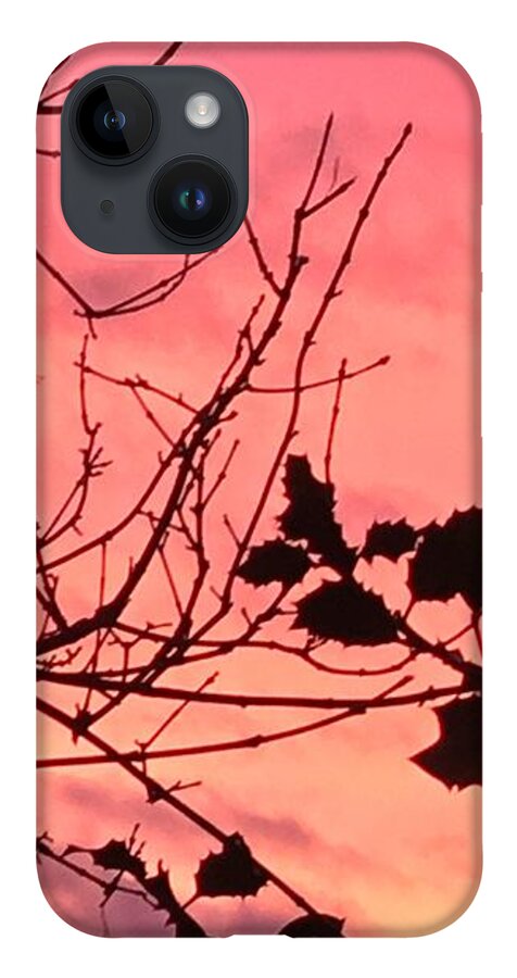 Winter Landscape iPhone 14 Case featuring the photograph Holly tree sunset 2 landscape by Itsonlythemoon