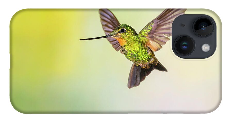 Vertebrate iPhone 14 Case featuring the photograph Hummingbird , Buff-winged Starfrontlet by Kencanning