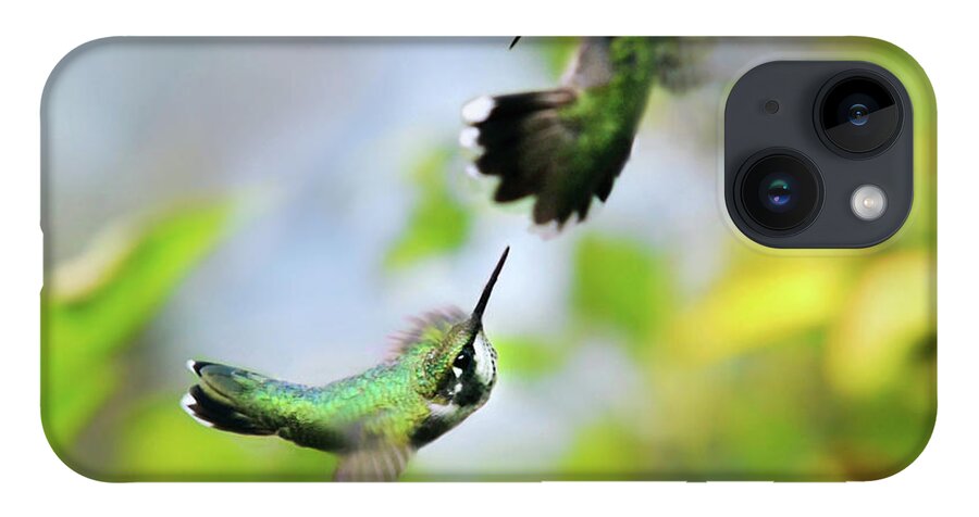Hummingbirds iPhone 14 Case featuring the photograph Hummingbirds Ensuing Battle by Christina Rollo