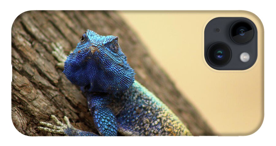  iPhone Case featuring the photograph I am turning Blue ... by Eric Pengelly