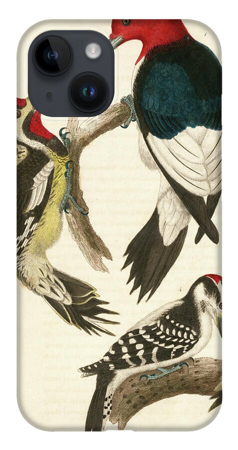 Birds iPhone 14 Case featuring the mixed media 1. Red-headed Woodpecker. 2. Yellow-bellied Woodpecker. 3. Hairy Woodpecker. 4. Downy Woodpecker. by Alexander Wilson