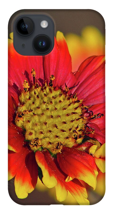 Flower iPhone 14 Case featuring the photograph Indian Blanket by Michael Allard