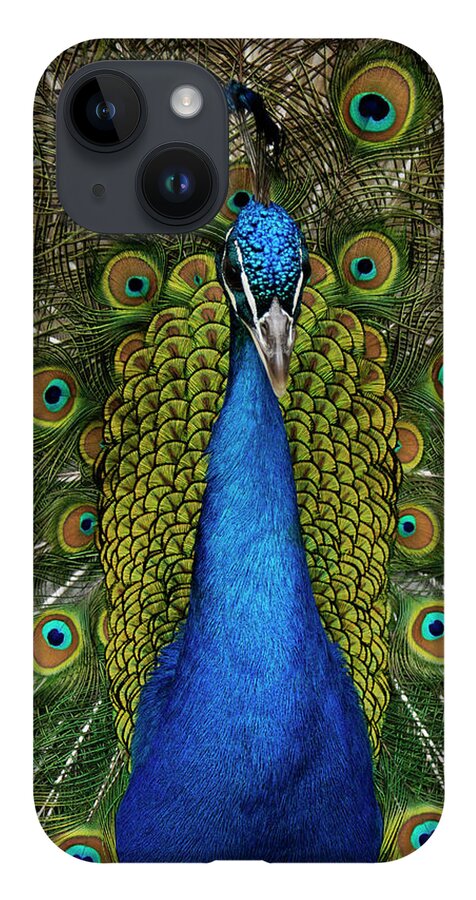 Feb0514 iPhone 14 Case featuring the photograph Indian Peacock Displaying by Hiroya Minakuchi