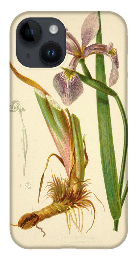Iris iPhone 14 Case featuring the mixed media Iris Versicolor Blue Flag by L Prang