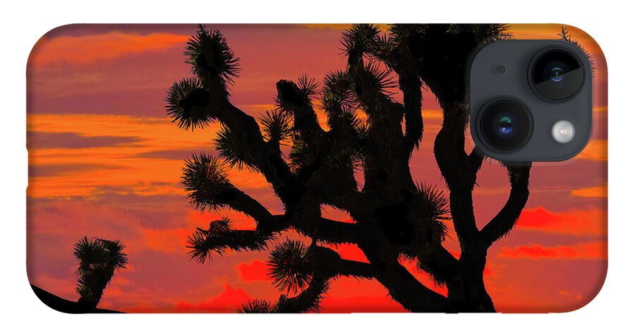 Arid Climate iPhone 14 Case featuring the photograph Joshua Tree at Sunset by Jeff Goulden
