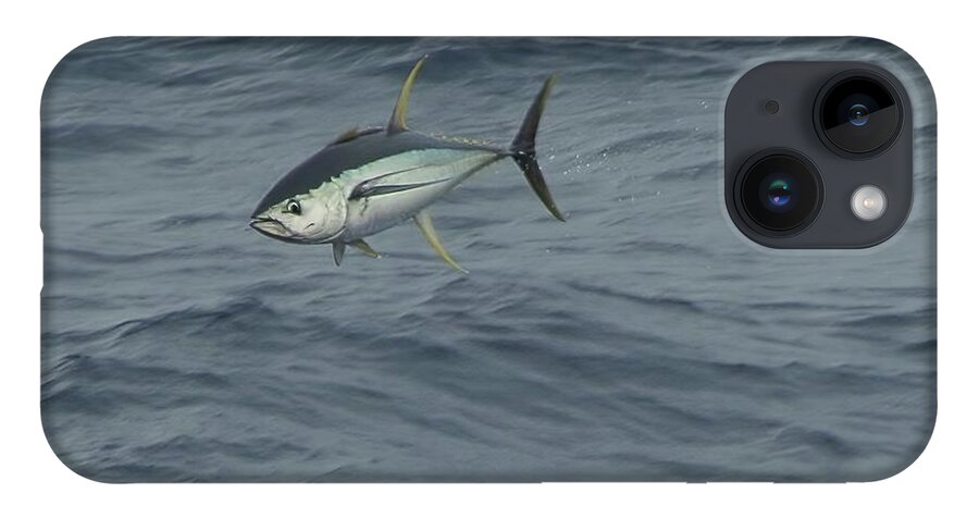 Yellowfin iPhone 14 Case featuring the photograph Jumping Yellowfin Tuna by Bradford Martin