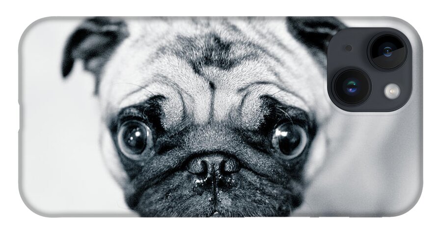 Pets iPhone 14 Case featuring the photograph Just Enough by Eddy Joaquim