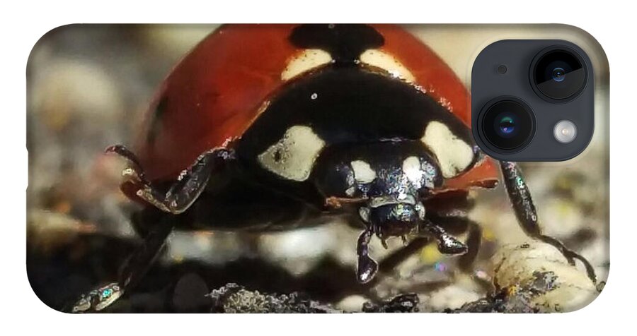 Ladybug iPhone 14 Case featuring the photograph Ladybug Macro Photography by Delynn Addams