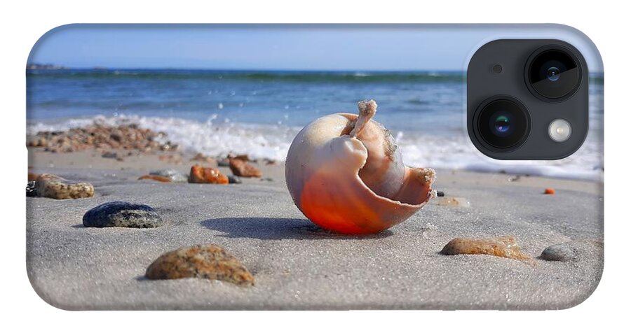 Shell iPhone 14 Case featuring the photograph Let The Sunshine In/ Inner Peace by Dani McEvoy