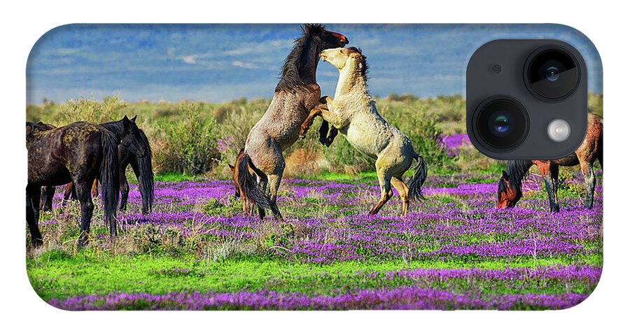 Horses iPhone Case featuring the photograph Let's Dance by Greg Norrell