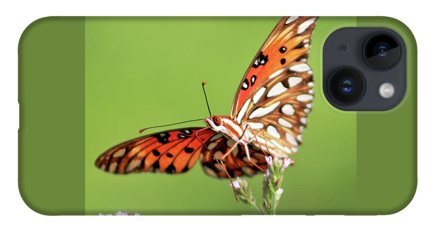 Butterfly iPhone Case featuring the photograph Life in Balance by Michael Allard